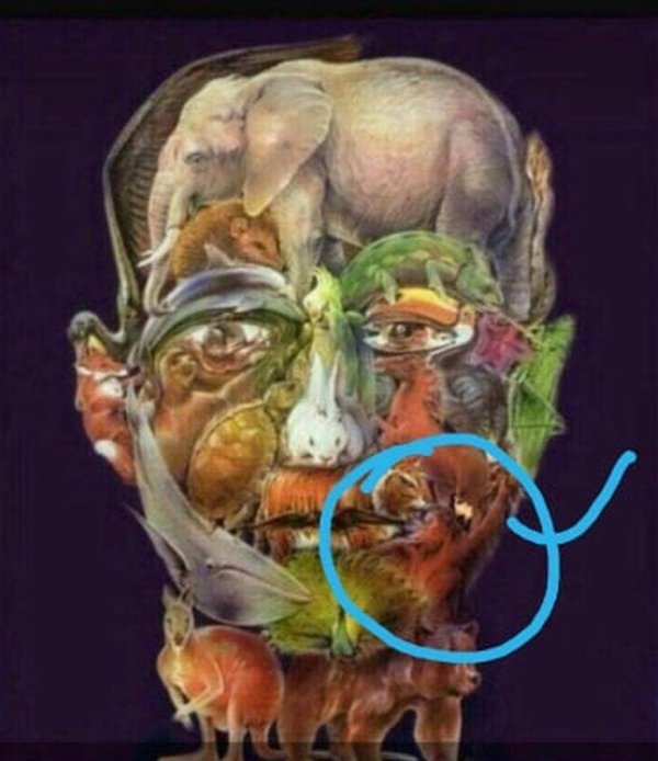 test-alchajmer-resenje