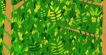 VIDITE LI ZMIJU NA OVOJ SLICI? SKORO NIKO NIJE USPIO: Da li vi možete?