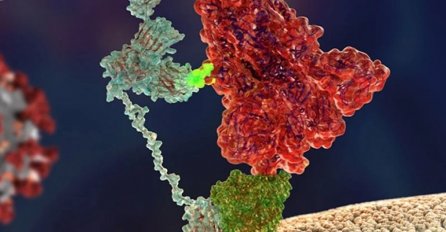 Istraživači otkrili drugi "ključ" koji čini novi koronavirus toliko zaraznim