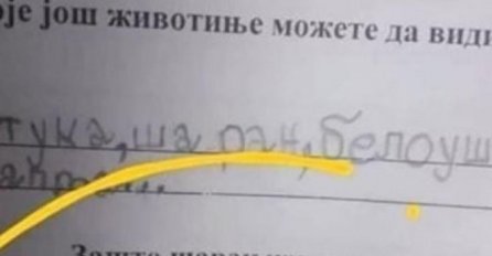 HIT ODGOVOR DJEČAKA IZ SRBIJE NA PITANJE "ZAŠTO ŠARAN ŽIVI U VODI?": Učiteljica PLAKALA OD SMIJEHA, NASMIJAO SVE DO SUZA (FOTO)