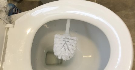 ODMAH ĆETE URADITI OVO Stavila je četku ispod daske za wc šolju: Razlog je NEVJEROVATAN! (VIDEO)