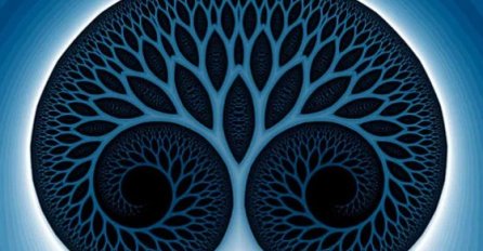 KOJE STE VI DRVO? OVO JE NAJTAČNIJI KELTSKI HOROSKOP: Obratite pažnju, jedan detalj određuje vašu SUDBINU