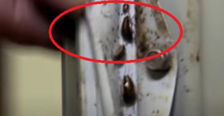 OVO MJESTO U KUHINJI SIGURNO NE ČISTITE: Bube možda MILE tamo, to nije JEDINI IZVOR ZARAZE