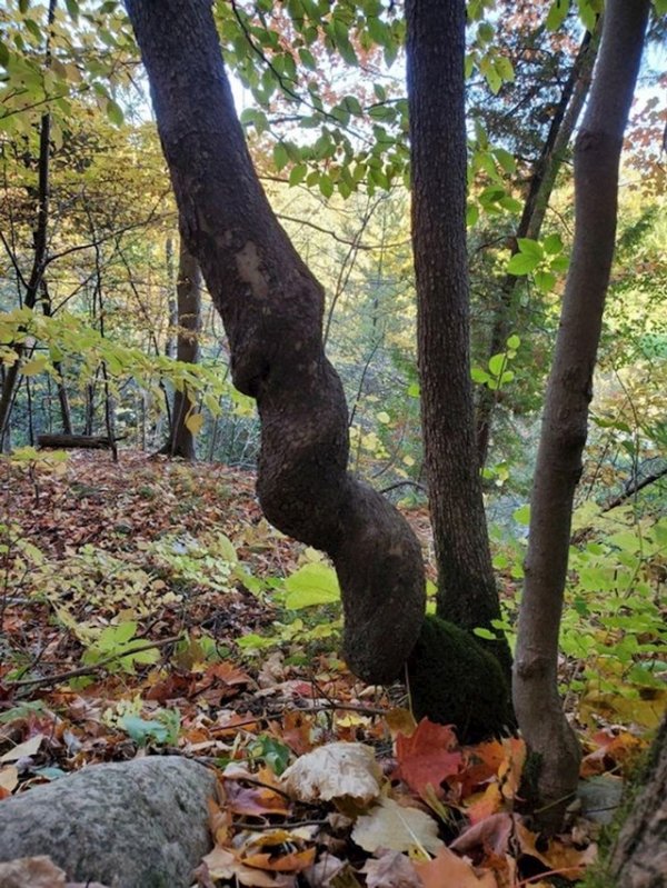 7b821813-6f56-4e68-9318-c8f493040ce5