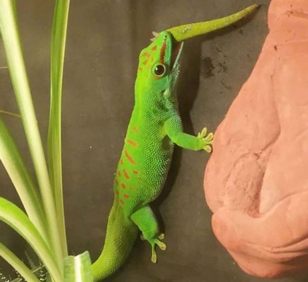 1100935f-b718-4c64-84f6-9582e1a9870b