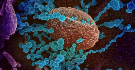 Koronavirus ima čak 7 grupa simtoma: Problem nastaje kad se poklope!