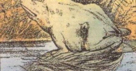 Gotovo niko ne može vidjeti konja na ovoj slici: Vidite li ga vi?