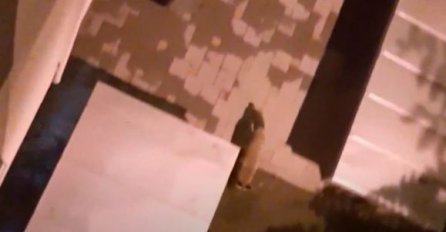 NESVAKIDAŠNJA SITUACIJA U BANJALUCI Lisica šeta gradskim ulicama (VIDEO)
