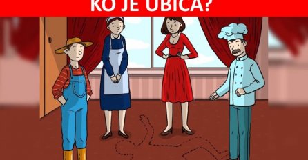 MOZGALICA ZA NAJPAMETNIJE: Ko je ubica?
