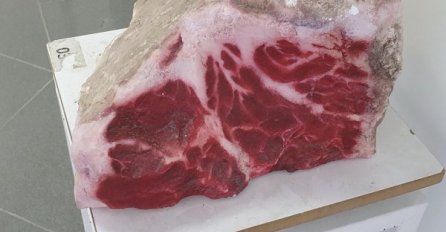 ŽENA OBJAVILA OVU SLIKU I NIKO NE MOŽE VJEROVATI: Ovaj detalj je sve izbezumio, VIDITE LI GA VI?