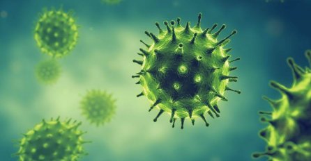 Novo otkriće naučnika: Evo da li COVID-19 može utjecati na plodnost kod muškaraca