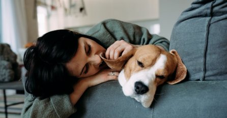 VAŠ LJUBIMAC SVE OSJETI: Može da predosjeti 5 opakih stanja i 3 nevjerovatne stvari!