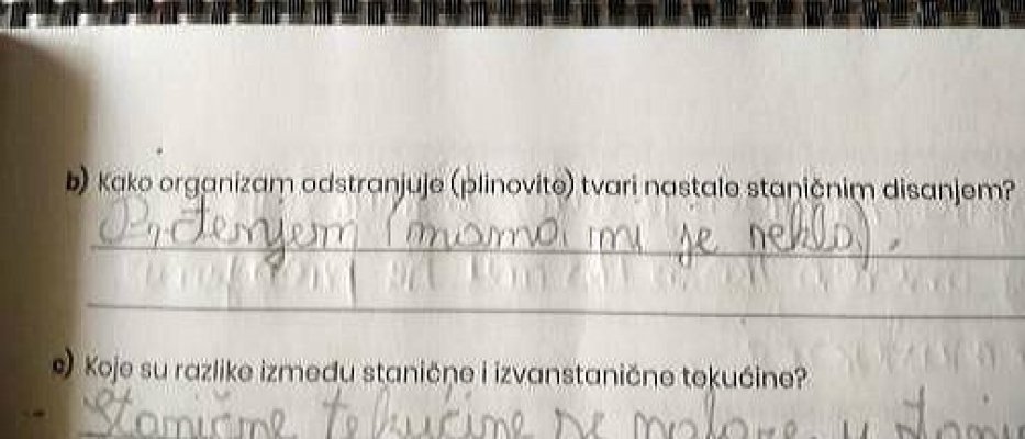 125533105-1280471098975615-4976330677514788022-n