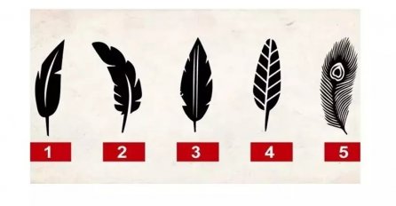 Izaberite JEDNO PERO i saznajte šta vas čeka u BLISKOJ BUDUĆNOSTI: Blago onima koji izaberu OVAJ BROJ