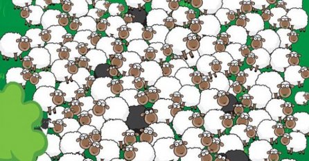 OVCE SVI VIDITE, ALI DA LI VIDITE JOŠ JEDNU SKRIVENU ŽIVOTINJU? Dobro se sakrila, SAMO GENIJALCI ĆE USPJETI DA JE PRONAĐU