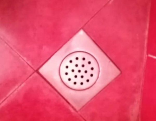 126065639-690387895200754-6900506602863675922-n