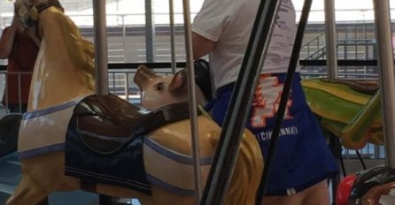 VIDITE LI NEŠTO ČUDNO? SVI BULJE U SLIKU ALI NIKO NE MOŽE DA SKONTA: Slika broj 6 je NAJVEĆI HIT IKAD 