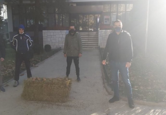 "DOBRODOŠLICA" NOVOM GRADONAČELNIKU! Mladići jutros ispred skupštine donijeli balu sijena i krompire Milutinu Simoviću! 