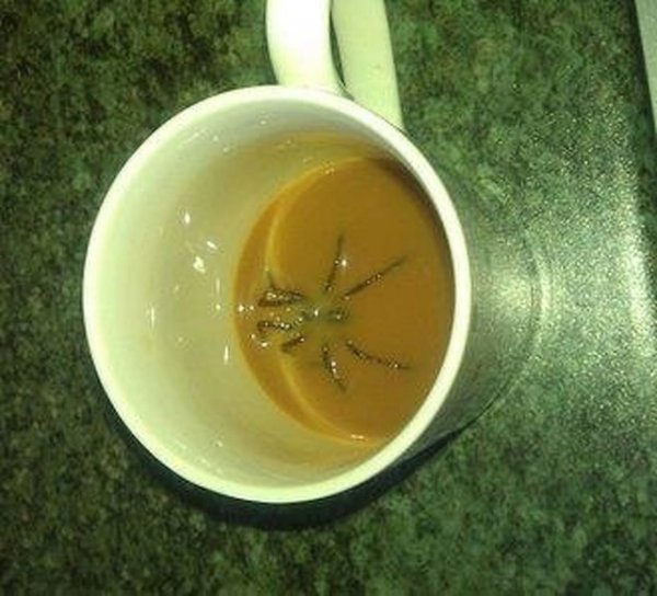 c0ec54fd-3b7f-40c1-9edb-1f246f95cd41