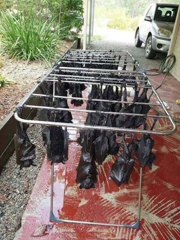 c47ca519-1a0b-4b05-b399-2ab137398ba8