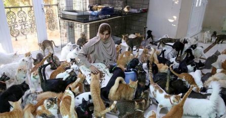 Živi s 12 pasa i čak 480 mačaka: 'Oni su pouzdaniji nego ljudi!'