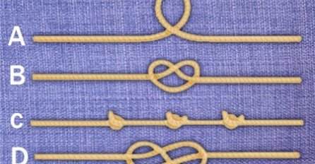 KOJI KONOPAC JE NAJDUŽI? SVI RAZLIČITO ODGOVORE: Evo šta vaš odgovor OTKRIVA O VAMA!