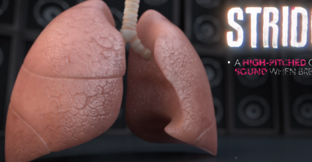 Evo kako zvuče ZDRAVA, a kako PLUĆA POD UPALOM: 4 vrste disanja koja morate znati! (VIDEO)