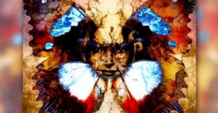 ŠTA JE VAŠE OKO PRVO PRIMJETILO NA OVOJ FOTOGRAFIJI? Odgovor je jako važan!