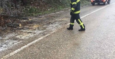 SNAŽNA OLUJA U BANJA LUCI ČUPALA STABLA: Mnoga naselja i dalje bez struje! (FOTO)