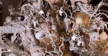 KARLEUŠA S MOTKOM, ULJEZ UŠAO DOK JE KITILA JELKU: Pogledajte šta se desilo (FOTO)