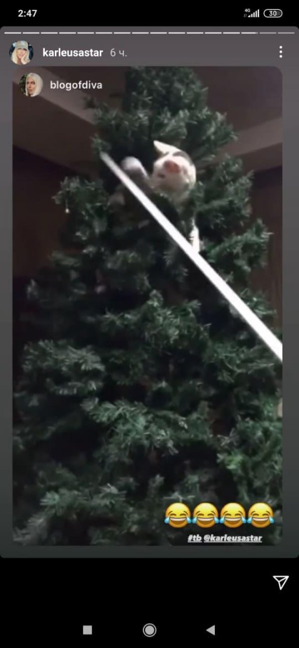 129758370-1546934762162409-3665639553719114256-n