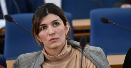 Ćudić pozvala Novalića i Milićević da podnesu ostavke