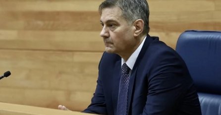 Usvojena većina inicijativa koje je  uputio Denis Zvizdić