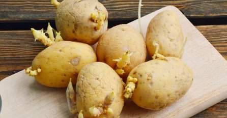 SVI GA JEDEMO A NISMO NI SVJESNI KOLIKO JE OPASAN! Evo zašto proklijali KROMPIR nije dobar!