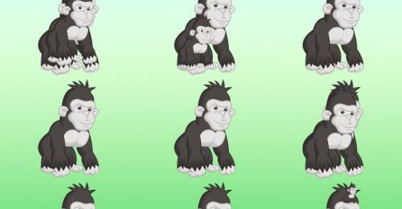 SVI POGREŠNO ODGOVORE! KOLIKO MAJMUNA VIDITE NA SLICI: Nije 9!