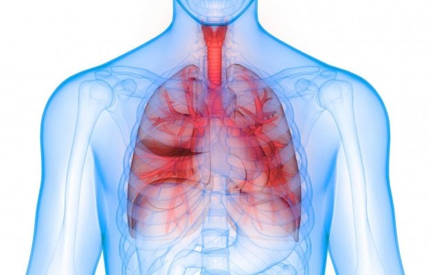 3d-render-of-lungs