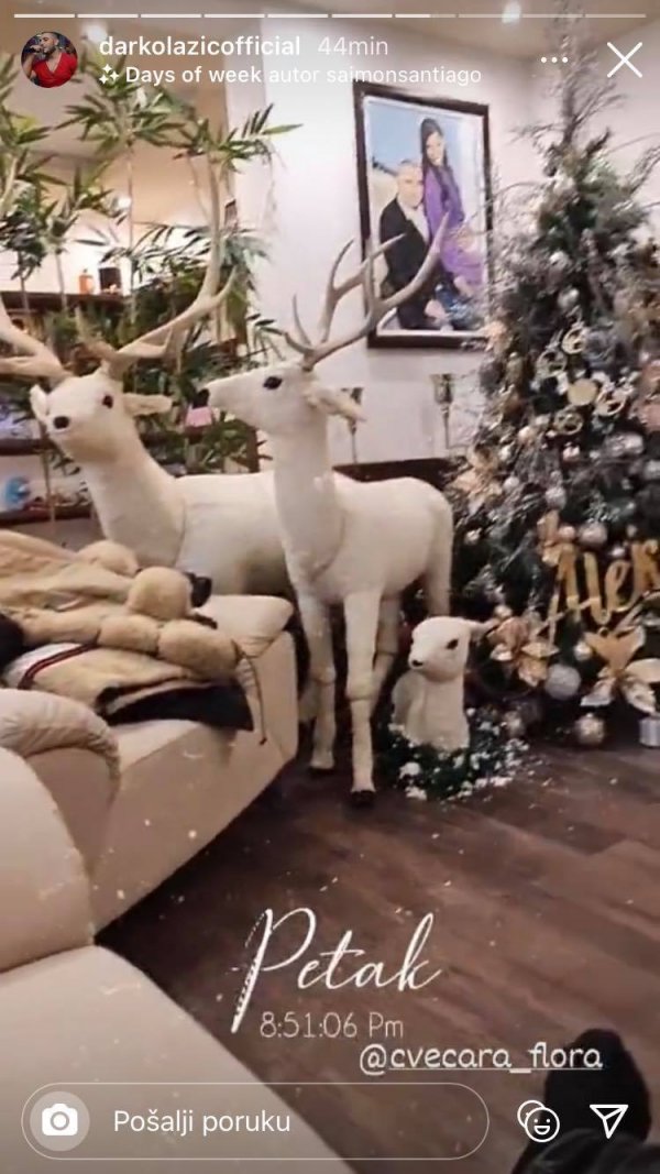 131094736-408627556948238-6489636049443800626-n