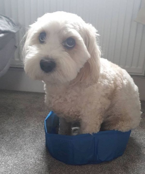 1b1287c2-458f-43af-af95-a77e77bed961