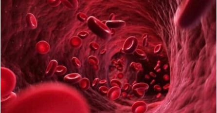 U krvi otkriven pokazatelj teškog toka bolesti kod oboljelih od kovida