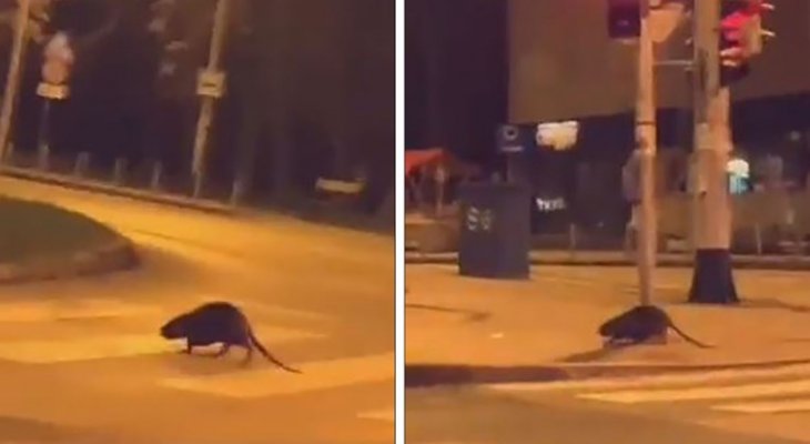 b44d520c-3dc1-42b5-96fc-a066677f0367