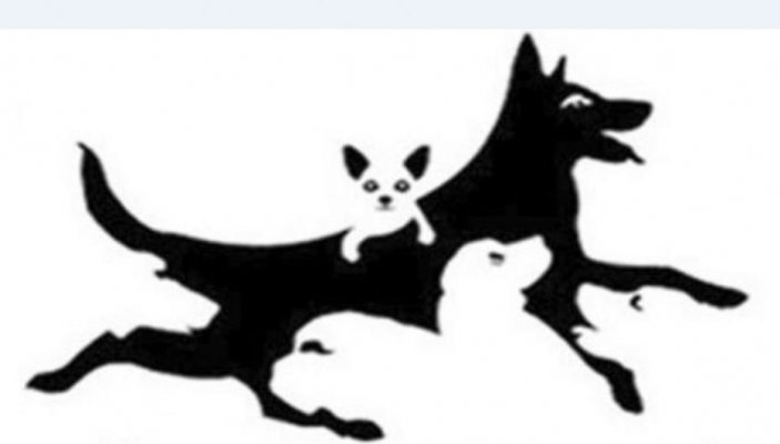 varka-decembar2020-gt