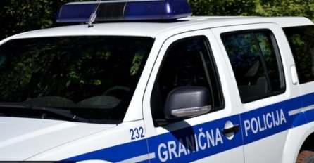 U toku akcija kodnog naziva 'Wolf'