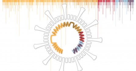 EVO ŠTA ZNAMO O MUTACIJI KORONAVIRUSA KOJA SE ŠIRI BRŽE NEGO OBIČNO!