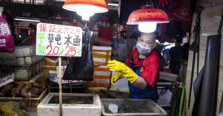 WHO dobio pristup Wuhanu za istragu o koronavirusu: Gdje je i kada virus prvi put otkriven?