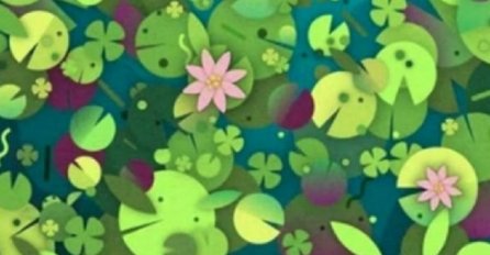 ŽENE OVU MOZGALICU RIJEŠE U SEKUNDI, ALI NIJEDAN MUŠKARAC NE MOŽE: Vidite li životinju na slici?