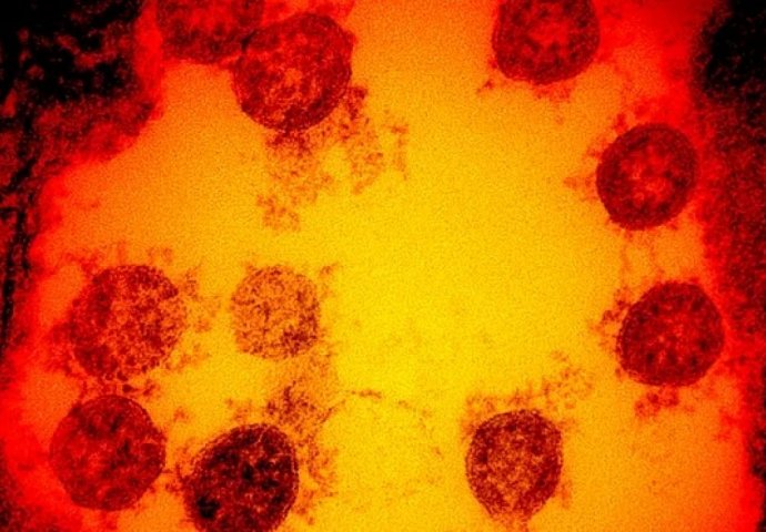 VUI – 202012/01: Šta znamo o novoj varijanti koronavirusa koja se počela brzo širiti? Doveo ju je očekivani evolucijski diktat, ali to možda nisu nužno loše vijesti