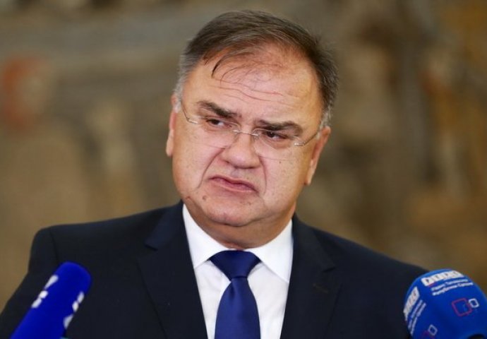 Ivanić: Istorija će pokazati da je zahtjev za članstvo u NATO podnio Dodik