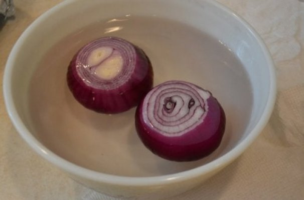 onion-500x330