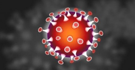 Novi soj virusa korona u Danskoj, Nizozemskoj, Australiji: Evo odakle se pojavio