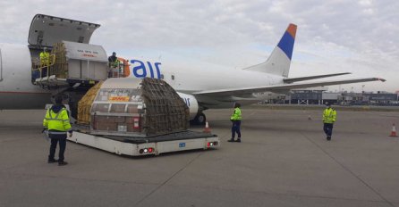 U Srbiju stigla prva pošiljka Pfizerovih vakcina protiv koronavirusa: Avion sletio na beogradski aerodrom, istovar u toku